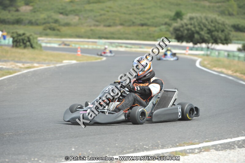 DSC (3560).JPG